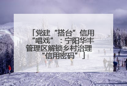党建“搭台”信用“唱戏”：宁阳华丰管理区解锁乡村治理“信用密码”