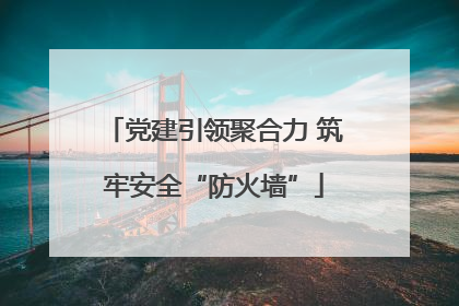党建引领聚合力 筑牢安全“防火墙”