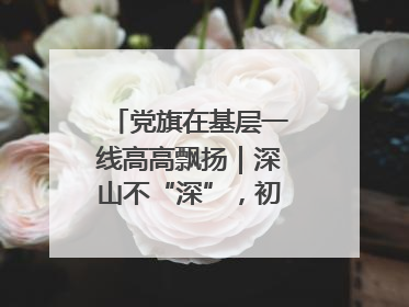 党旗在基层一线高高飘扬｜深山不“深”，初心很“红”