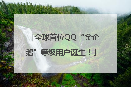 全球首位QQ“金企鹅”等级用户诞生！