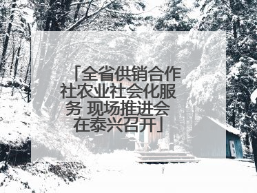 全省供销合作社农业社会化服务 现场推进会在泰兴召开