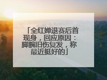 全红婵退赛后首现身，回应原因：脚腕旧伤复发，称最近挺好的