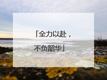 全力以赴，不负韶华