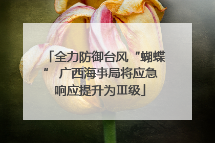 全力防御台风“蝴蝶” 广西海事局将应急响应提升为Ⅲ级