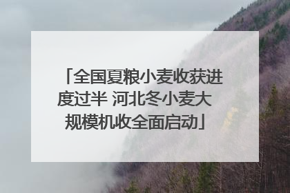 全国夏粮小麦收获进度过半 河北冬小麦大规模机收全面启动