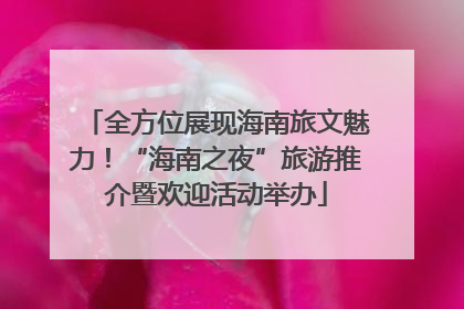 全方位展现海南旅文魅力！“海南之夜”旅游推介暨欢迎活动举办