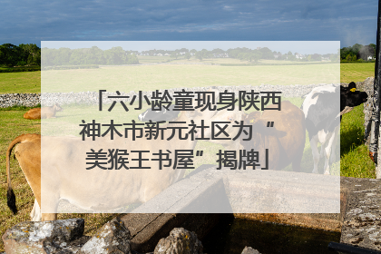 六小龄童现身陕西神木市新元社区为“美猴王书屋”揭牌