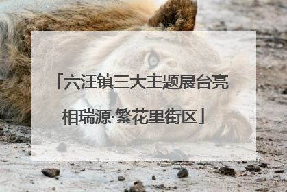 六汪镇三大主题展台亮相瑞源·繁花里街区