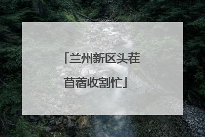 兰州新区头茬苜蓿收割忙