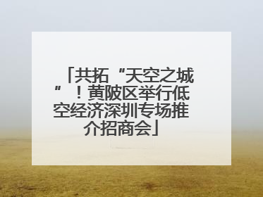共拓“天空之城”！黄陂区举行低空经济深圳专场推介招商会