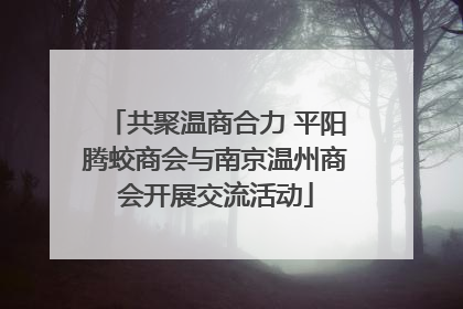 共聚温商合力 平阳腾蛟商会与南京温州商会开展交流活动