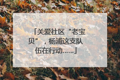 关爱社区“老宝贝”，杨浦这支队伍在行动……