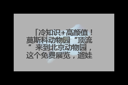 冷知识+高颜值！莫斯科动物园“顶流”来到北京动物园，这个免费展览，遛娃拍照两不误！
