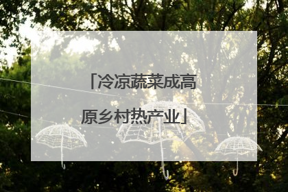 冷凉蔬菜成高原乡村热产业