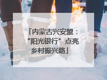 内蒙古兴安盟：“阳光银行”点亮乡村振兴路