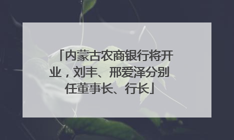 内蒙古农商银行将开业，刘丰、邢爱泽分别任董事长、行长
