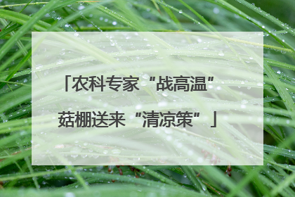 农科专家“战高温” 菇棚送来“清凉策”