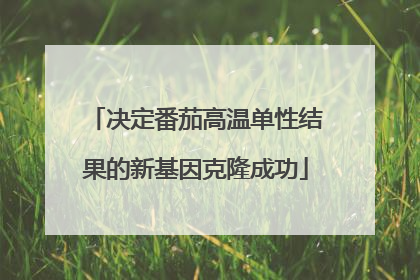 决定番茄高温单性结果的新基因克隆成功