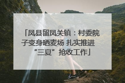 凤县留凤关镇：村委院子变身晒麦场 扎实推进“三夏”抢收工作