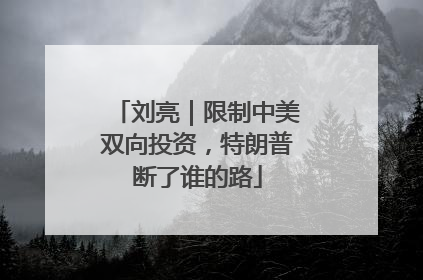 刘亮｜限制中美双向投资，特朗普断了谁的路
