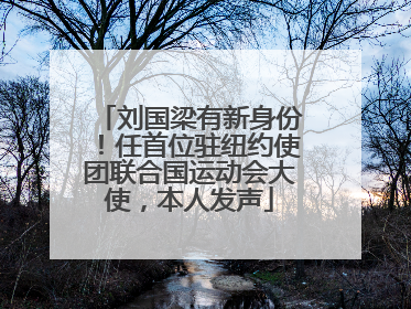 刘国梁有新身份！任首位驻纽约使团联合国运动会大使，本人发声