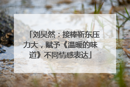 刘昊然：接棒靳东压力大，赋予《温暖的味道》不同情感表达