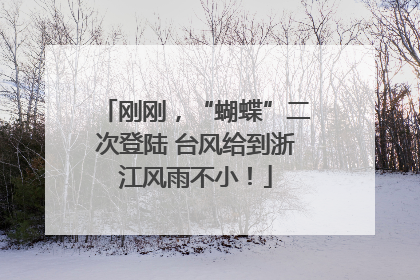 刚刚，“蝴蝶”二次登陆 台风给到浙江风雨不小！