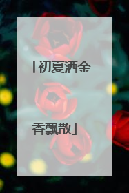 初夏洒金香飘散