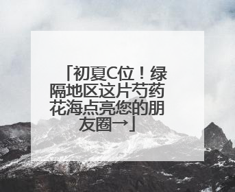 初夏C位！绿隔地区这片芍药花海点亮您的朋友圈→