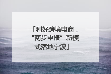 利好跨境电商，“两步申报”新模式落地宁波