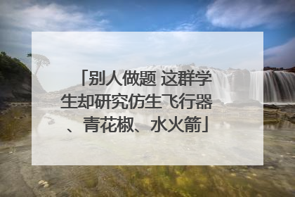 别人做题 这群学生却研究仿生飞行器、青花椒、水火箭
