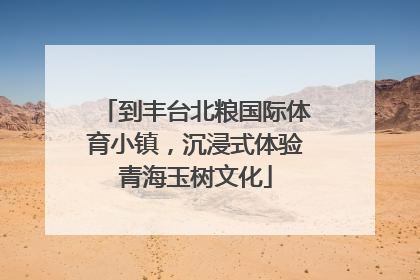 到丰台北粮国际体育小镇，沉浸式体验青海玉树文化