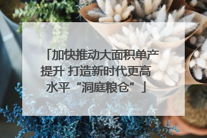 加快推动大面积单产提升 打造新时代更高水平“洞庭粮仓”
