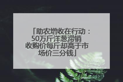 助农增收在行动：50万斤洋葱滞销 收购价每斤却高于市场价三分钱