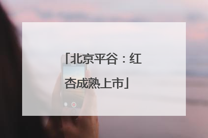 北京平谷：红杏成熟上市