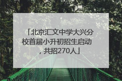 北京汇文中学大兴分校首届小升初招生启动，共招270人