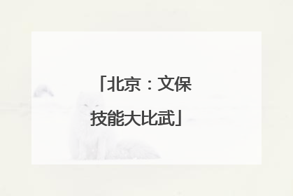 北京:文保技能大比武