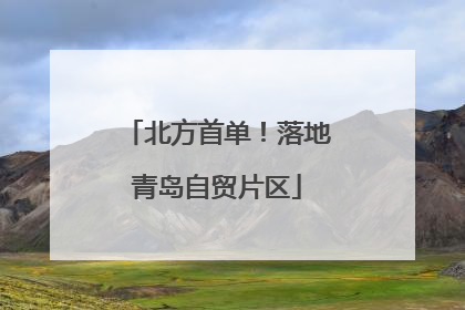 北方首单！落地青岛自贸片区