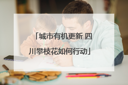城市有机更新 四川攀枝花如何行动