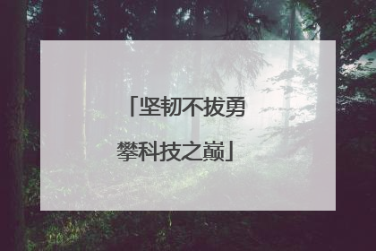 坚韧不拔勇攀科技之巅