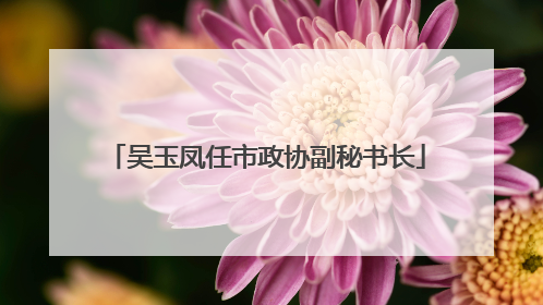 吴玉凤任市政协副秘书长