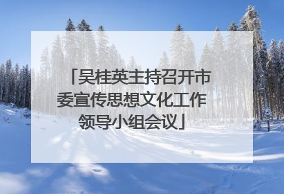 吴桂英主持召开市委宣传思想文化工作领导小组会议
