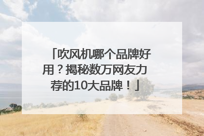 吹风机哪个品牌好用？揭秘数万网友力荐的10大品牌！