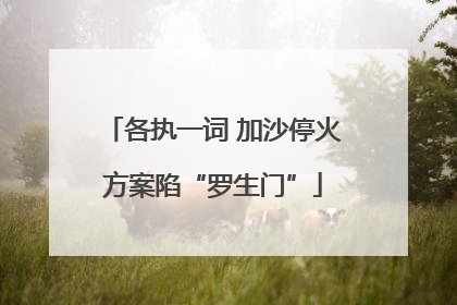 各执一词 加沙停火方案陷“罗生门”