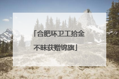 合肥环卫工拾金不昧获赠锦旗