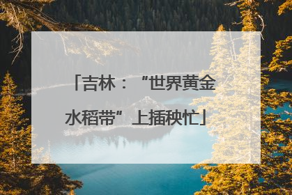 吉林：“世界黄金水稻带”上插秧忙