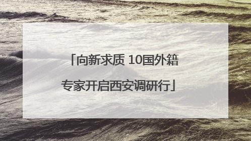 向新求质 10国外籍专家开启西安调研行
