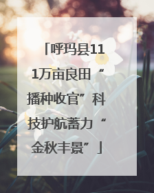 呼玛县111万亩良田“播种收官”科技护航蓄力“金秋丰景”