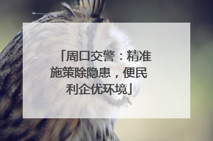 周口交警：精准施策除隐患，便民利企优环境