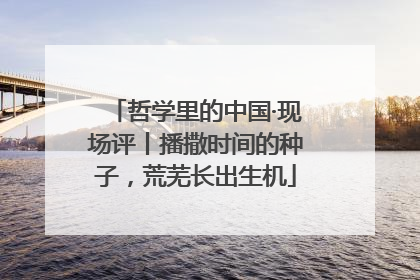 哲学里的中国·现场评丨播撒时间的种子，荒芜长出生机